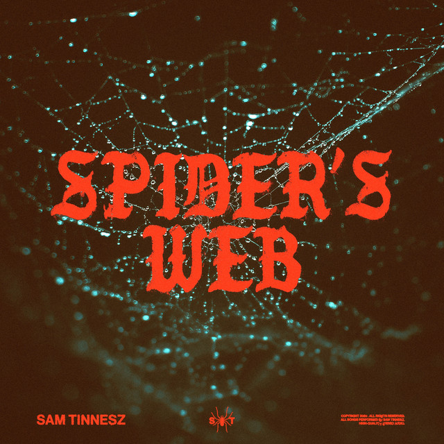 Spider's Web