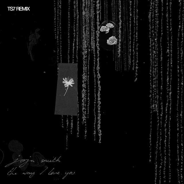 The Way I Love You (TS7 remix)