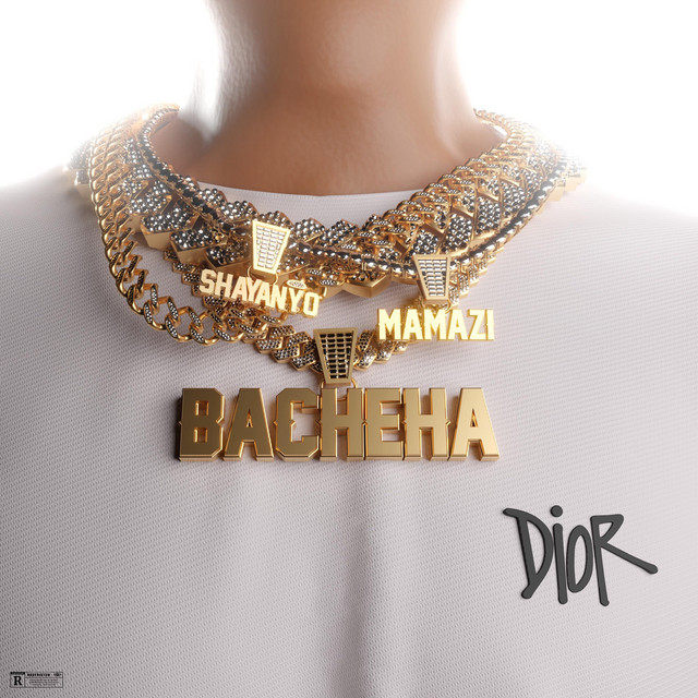 Bacheha