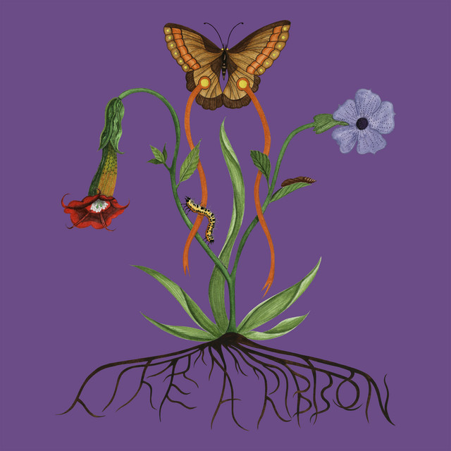 Like A Ribbon (Deluxe)