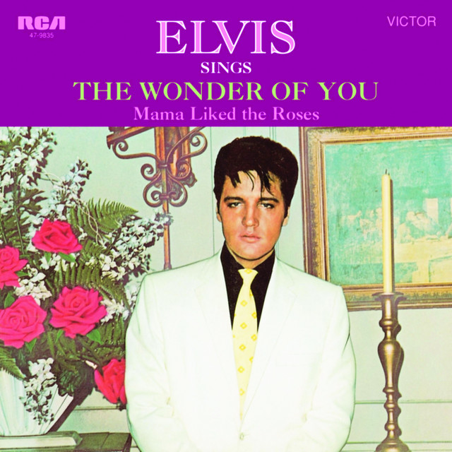 The Wonder Of You