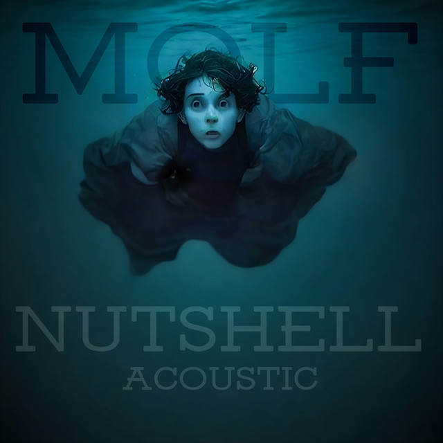 Nutshell (Acoustic)