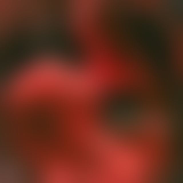 fue mejor