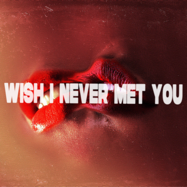 Wish I Never Met You