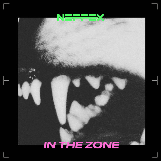IN THE ZONE