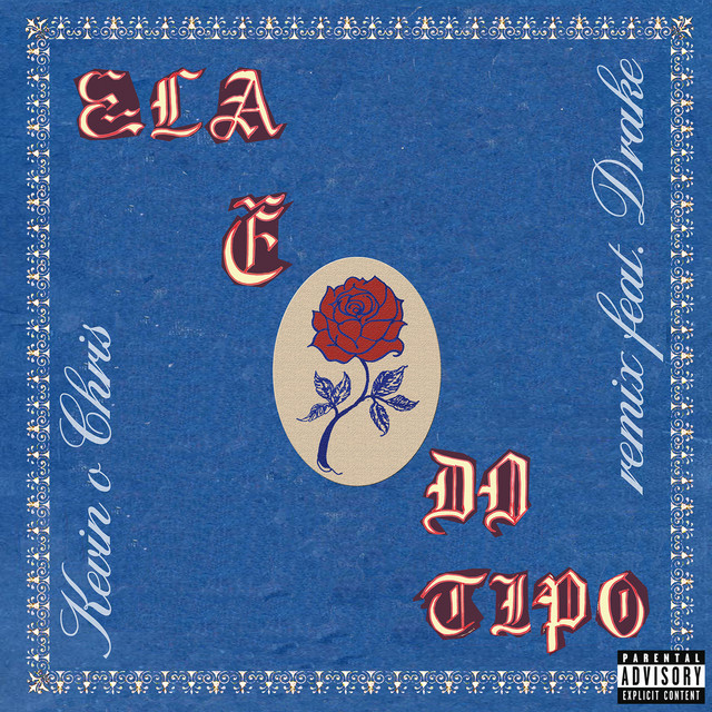 Ela É do Tipo (feat. Drake) [Remix]