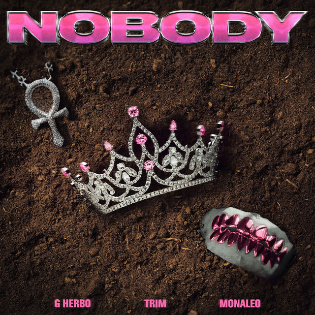 Nobody (feat. Monaleo & G Herbo) (Remix)
