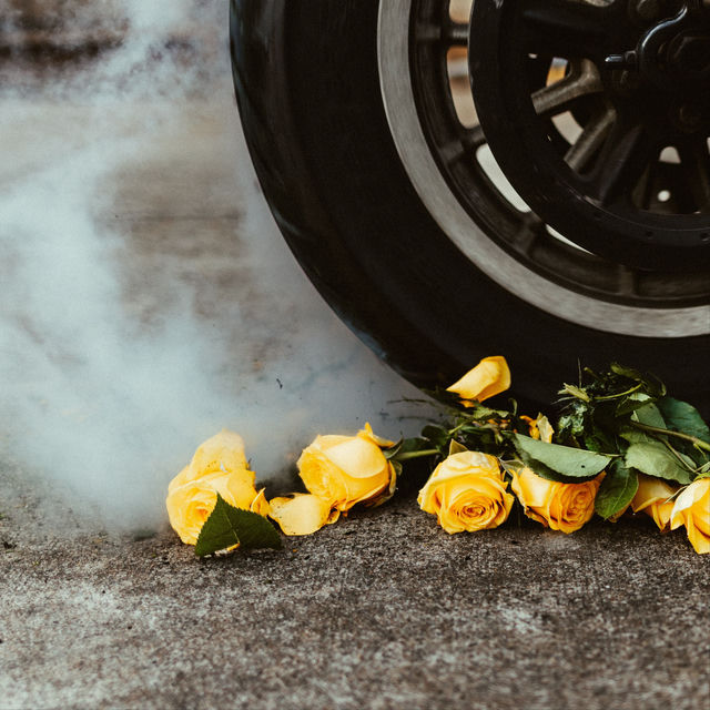 Yellow Roses