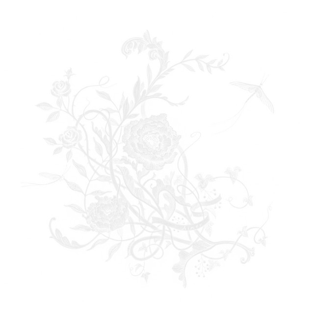 白色蜉蝣
