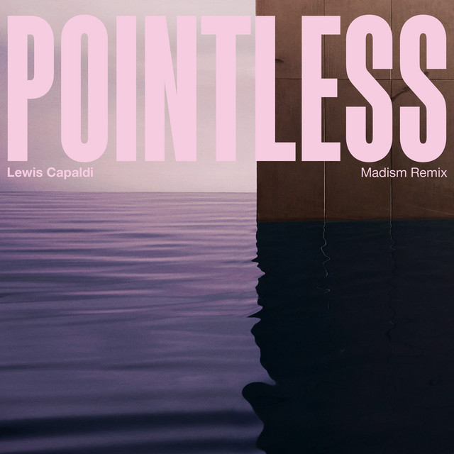 Pointless (Madism Remix)