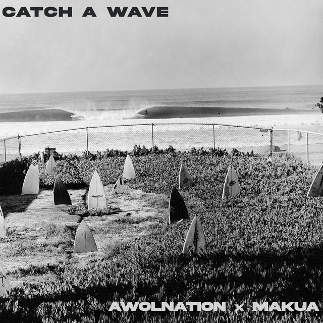 Catch A Wave