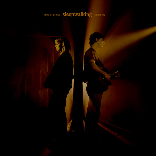 Sleepwalking (feat. Sasha Alex Sloan)