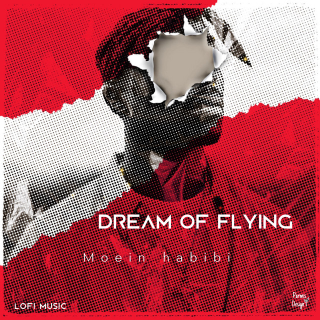 Moein Habibi