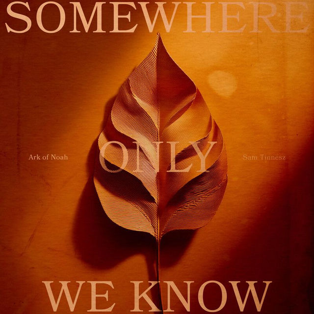 Somewhere Only We Know