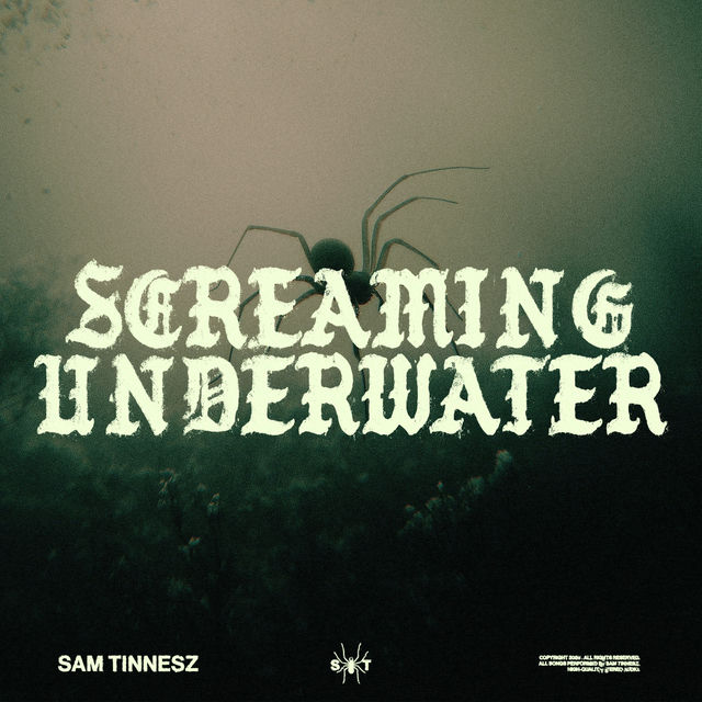 Screaming Underwater
