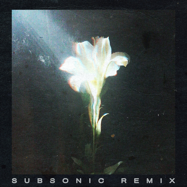 Light That Leads Me (with Bebe Rexha) [Subsonic Remix]