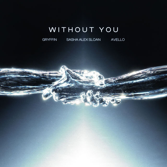 Without You (feat. Sasha Alex Sloan)
