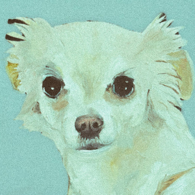 Dulce Perro