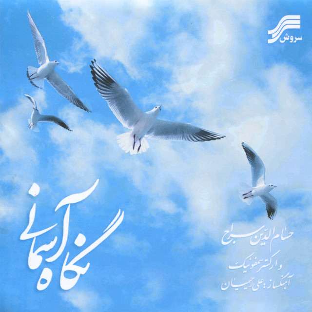 Ali Rahimian