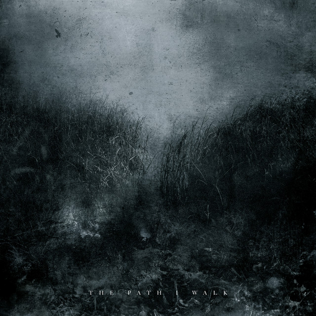 The Path I Walk (feat. Tina Guo)