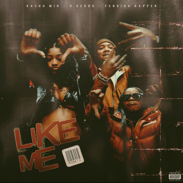 Like Me (Remix)