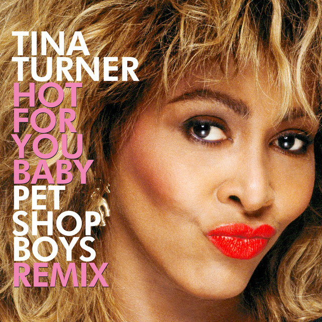 Hot For You Baby (Pet Shop Boys Remix)