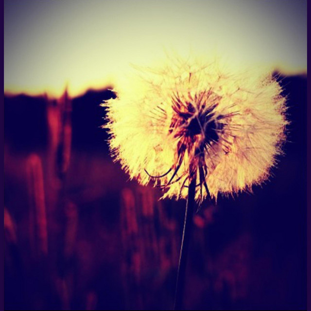 Moments