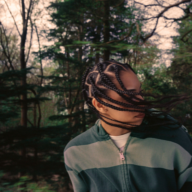 trees for the woods