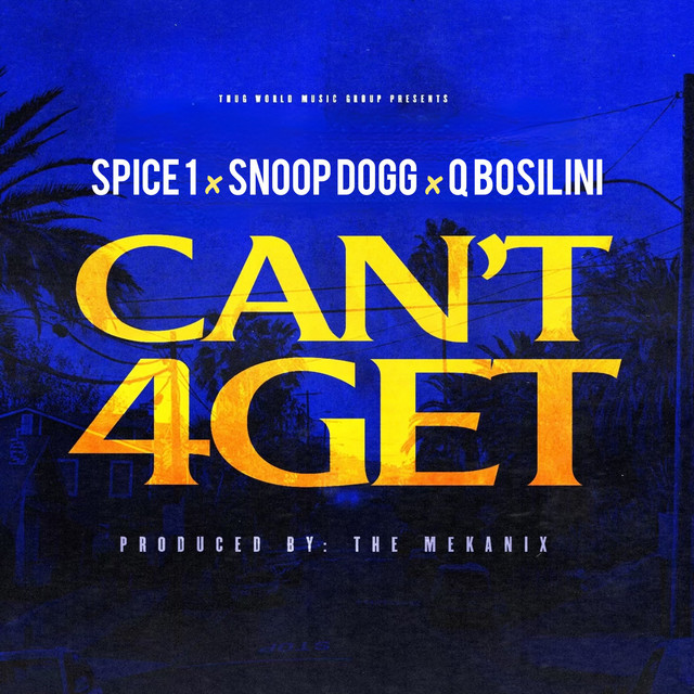 Can't 4Get (Radio Edit)