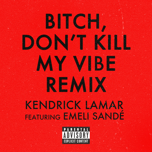 Bitch, Don't Kill My Vibe (Remix)