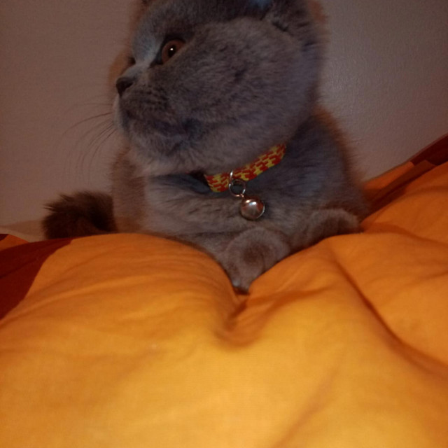That Look Does Not Forget