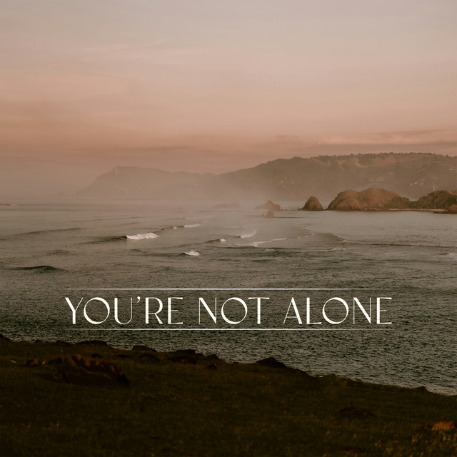 You're Not Alone (James Carter Remix)