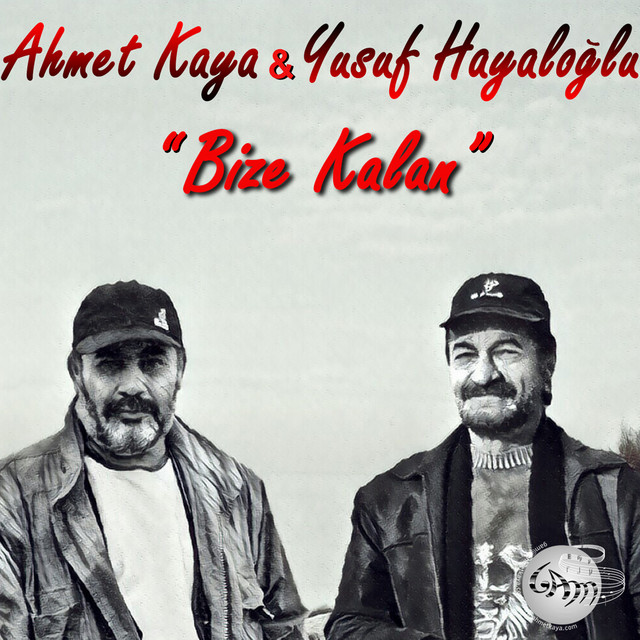Yusuf Hayaloglu