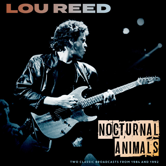 Nocturnal Animals (Live)