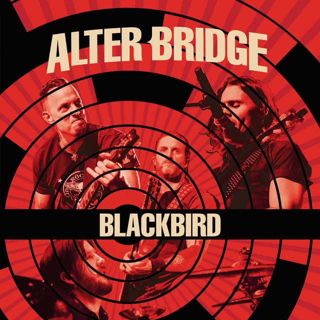 Blackbird (Live)