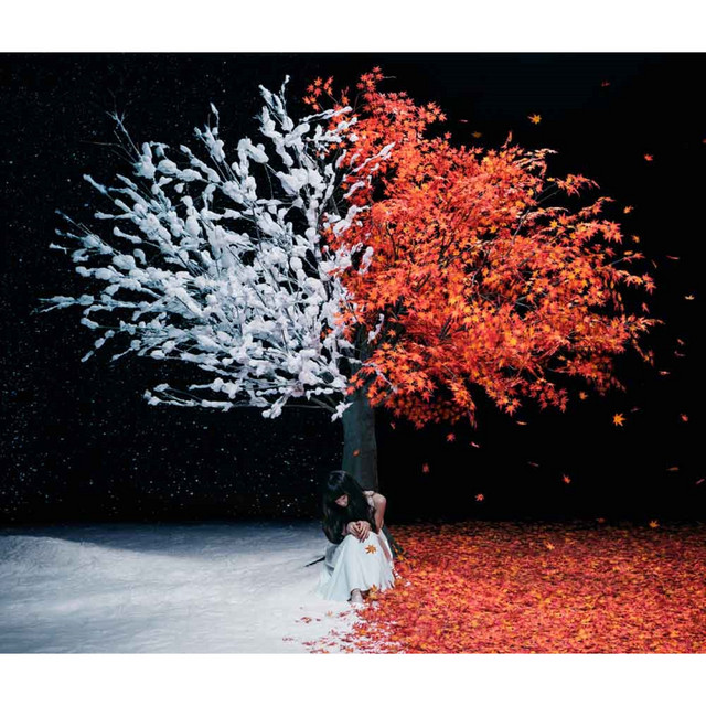 茜さす/everlasting snow