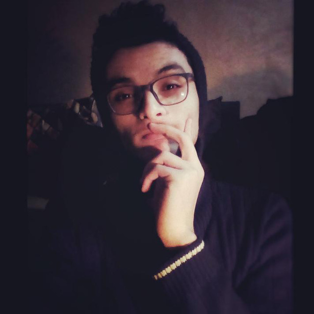 Fedy