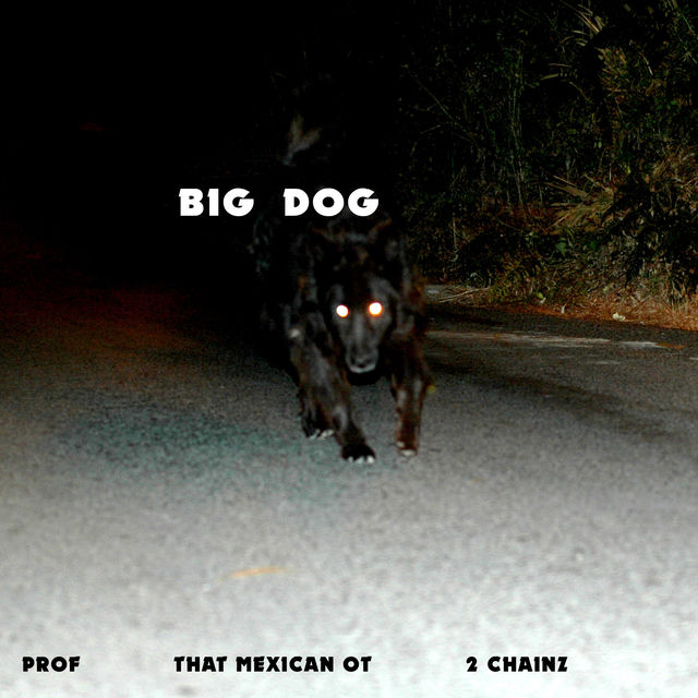 Big Dog