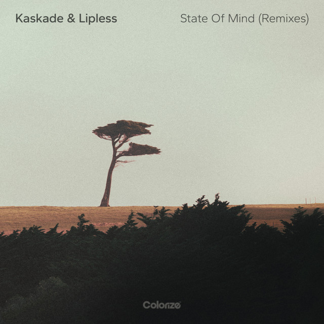 State Of Mind (Remixes)